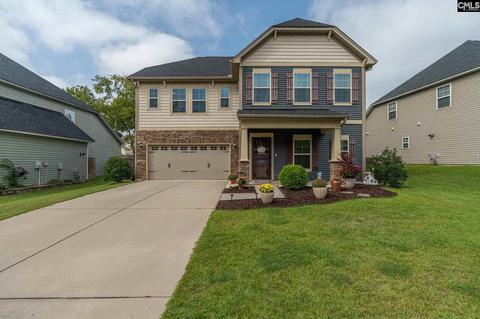 313 Eagle Pointe Dr, Chapin, SC 29036 photo 1