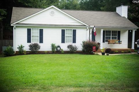 337 Firebridge Dr, Chapin, SC 29036 photo 1