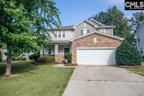 316 Winterberry Loop, Lexington, SC 29072 photo 1