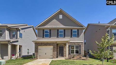 286 Bickley View Ct, Chapin, SC 29036 photo 1