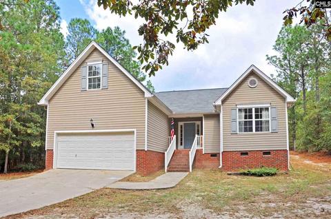 225 Cedar Branch Ct, Gilbert, SC 29054 photo 1
