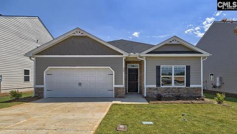 924 Trident Maple Ln, Chapin, SC 29036 photo 1
