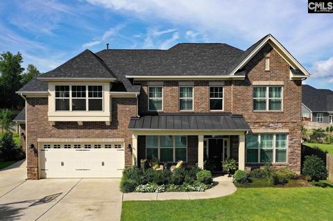 42 Mapleline Ct, Chapin, SC 29036 photo 1