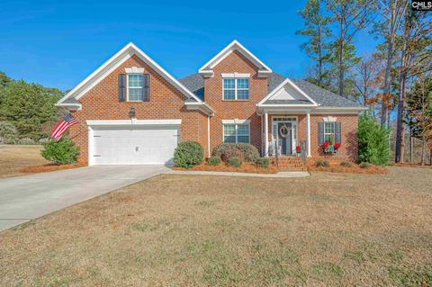601 Webster Pointe Dr, Chapin, SC 29036 photo 1