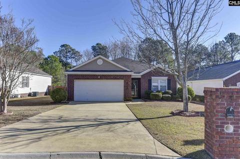 33 Yearling Ct, Irmo, SC 29063 photo 1