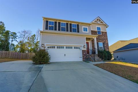 121 Ridgeback Cir, Irmo, SC 29063 photo 1