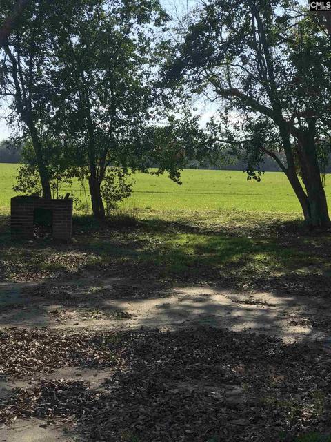 7459 Govan Rd, Olar, SC 29843 photo 8