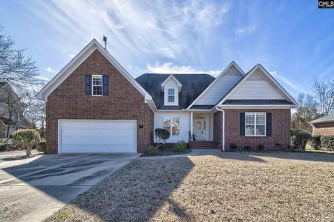 217 White Plains Ct, Gilbert, SC 29054 photo 1