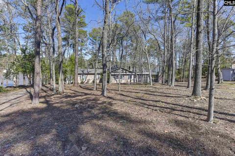 1333 Shore Rd, Gilbert, SC 29054 photo 1