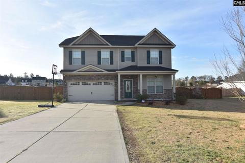 235 Harebell Ln, Leesville, SC 29070 photo 1