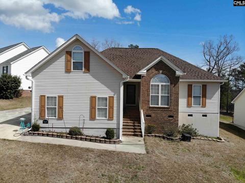 8 Beech Branch Ct, Irmo, SC 29063 photo 1