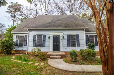221 Trinity Three Rd, Irmo, SC 29063 photo 1