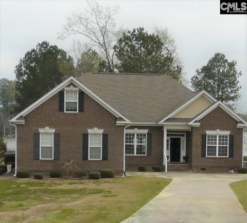 229 Pintail Lake Dr, Gilbert, SC 29054 photo 1