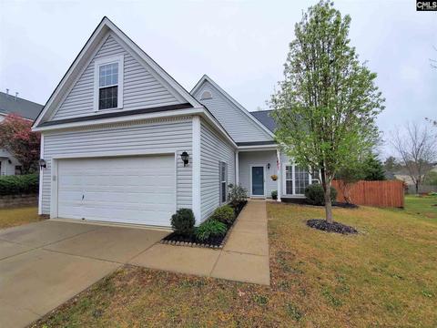109 Eagle Pointe Dr, Chapin, SC 29036 photo 1