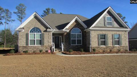 507 Radnor Hunt Ct, Gilbert, SC 29054 photo 1