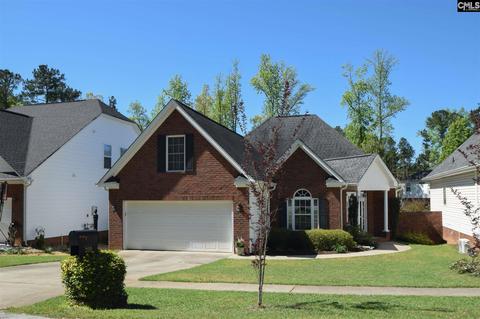 220 Powell Dr, Lexington, SC 29072 photo 1