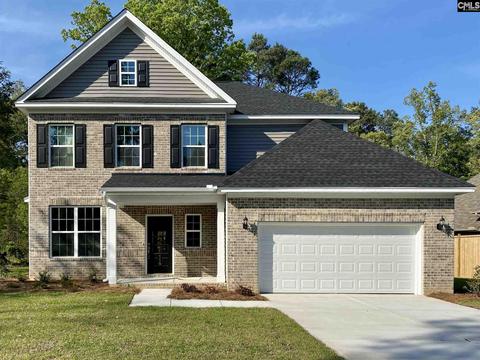 119 Eunice Ct, Chapin, SC 29036 photo 1