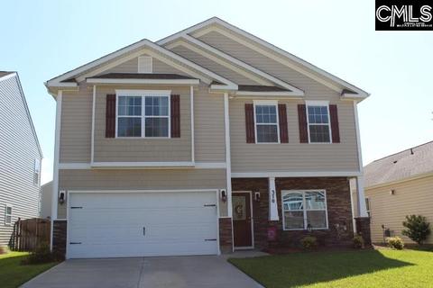 370 Explorer Dr, Chapin, SC 29036 photo 1