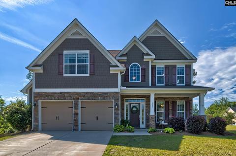 303 Eagle Claw Dr, Chapin, SC 29036 photo 1