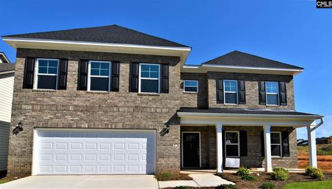 471 Malachite Dr, Chapin, SC 29072 photo 1