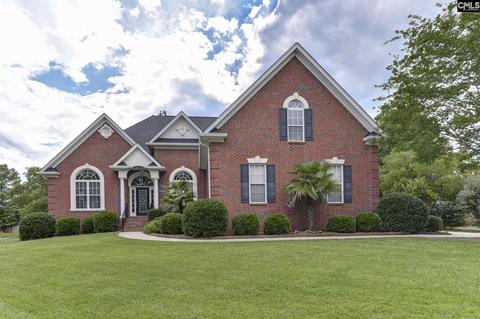140 Pintail Lake Dr, Gilbert, SC 29054 photo 1