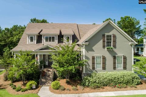 116 Pintail Lake Dr, Gilbert, SC 29054 photo 1