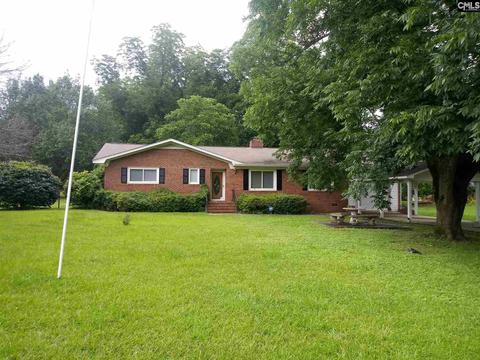 210 E Boundary St, Chapin, SC 29036 photo 1