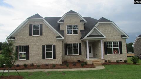 205 Chamois Ct, Gilbert, SC 29054 photo 1
