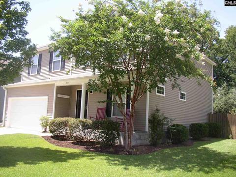235 Eagle Pointe Dr, Chapin, SC 29036 photo 1