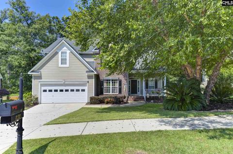 232 Winterberry Loop, Lexington, SC 29072 photo 1