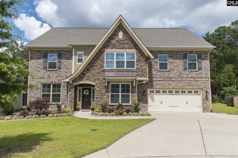 39 Mapleline Ct, Chapin, SC 29036 photo 1