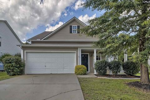 376 Eagle Pointe Dr, Chapin, SC 29036 photo 1