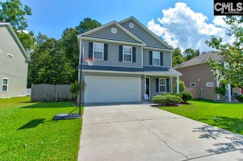 246 Eagle Pointe Dr, Chapin, SC 29036 photo 1
