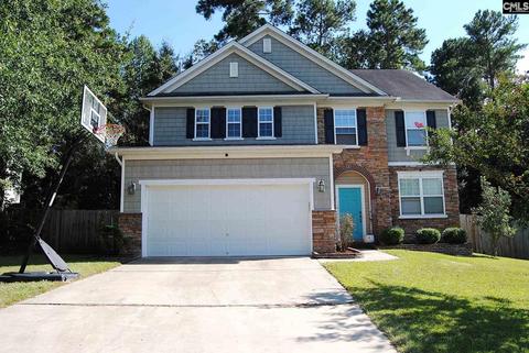 274 Winterberry Loop, Lexington, SC 29072 photo 1
