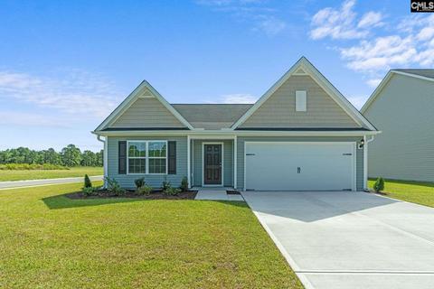 242 Common Reed Dr, Gilbert, SC 29054 photo 1