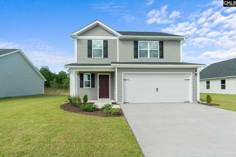 250 Common Reed Dr, Gilbert, SC 29054 photo 1