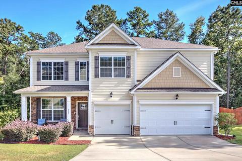 227 Woolbright Dr, Chapin, SC 29036 photo 1