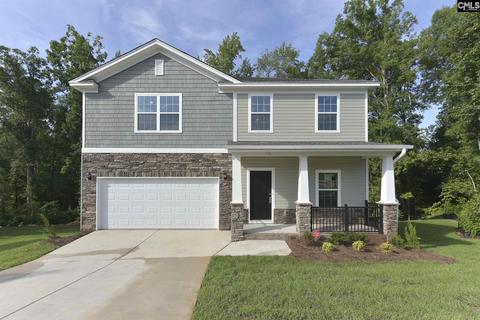 355 Limestone Rd, Chapin, SC 29036 photo 1