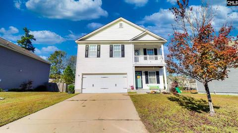 219 Eagle Pointe Dr, Chapin, SC 29036 photo 1