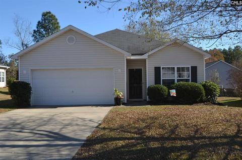 321 Baneberry Loop, Lexington, SC 29073 photo 1