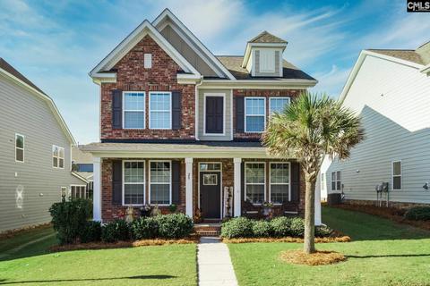 20 Downing Cir, Gilbert, SC 29054 photo 1