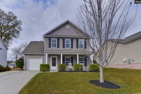 229 Eagle Pointe Dr, Chapin, SC 29036 photo 1