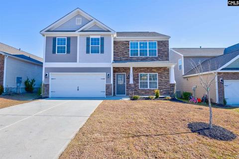 362 Explorer Dr, Chapin, SC 29036 photo 1