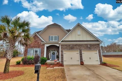 18 Downing Ct, Gilbert, SC 29054 photo 1