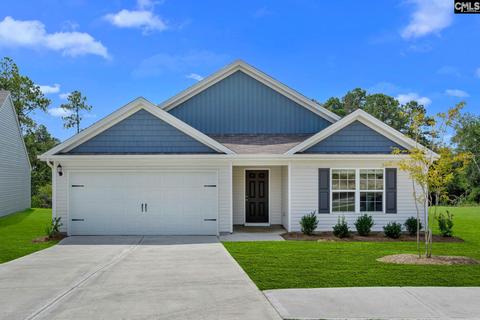 1132 Mission Grass Rd, Gilbert, SC 29054 photo 1