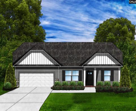 152 Doolittle Dr, Chapin, SC 29036 photo 1