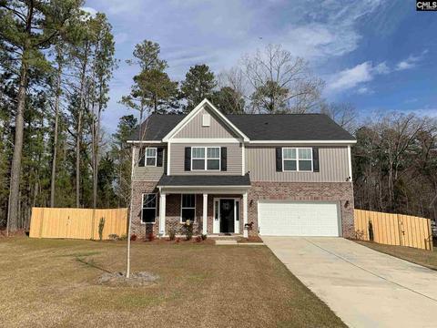 107 Eunice Ct, Chapin, SC 29036 photo 1