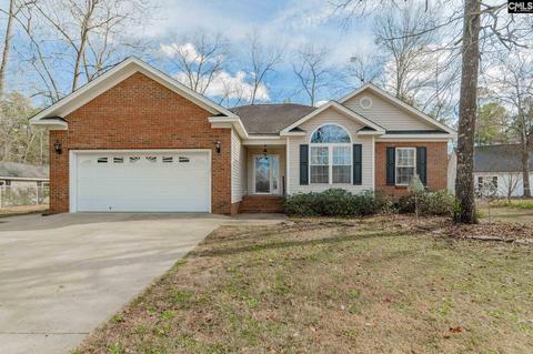 137 Cobbler Ln, Gilbert, SC 29054 photo 1