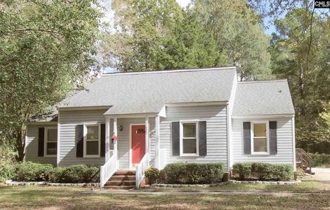 313 Parlock Rd, Irmo, SC 29063 photo 1