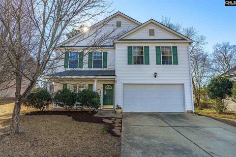 117 Eagle Pointe Dr, Chapin, SC 29036 photo 1